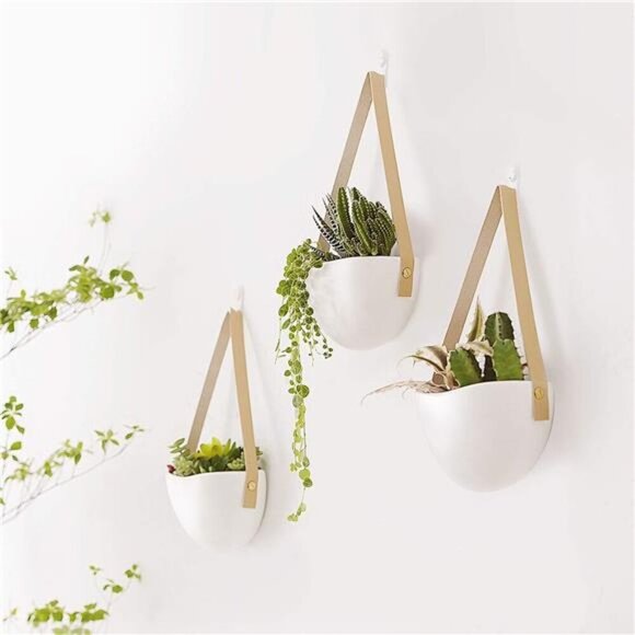 Wall Planter for Indoor Plants Ceramic Hanging FlowerPots for Succulent AirPlant - Picture 7 of 8